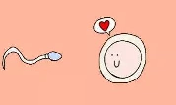 上海单身男性能不能做试管，未婚男士做试管的限制及注意事项