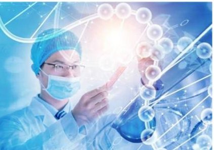 新加坡试管婴儿费用是多少？