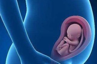 柳州试管婴儿医院有哪些呢？成功率多少？